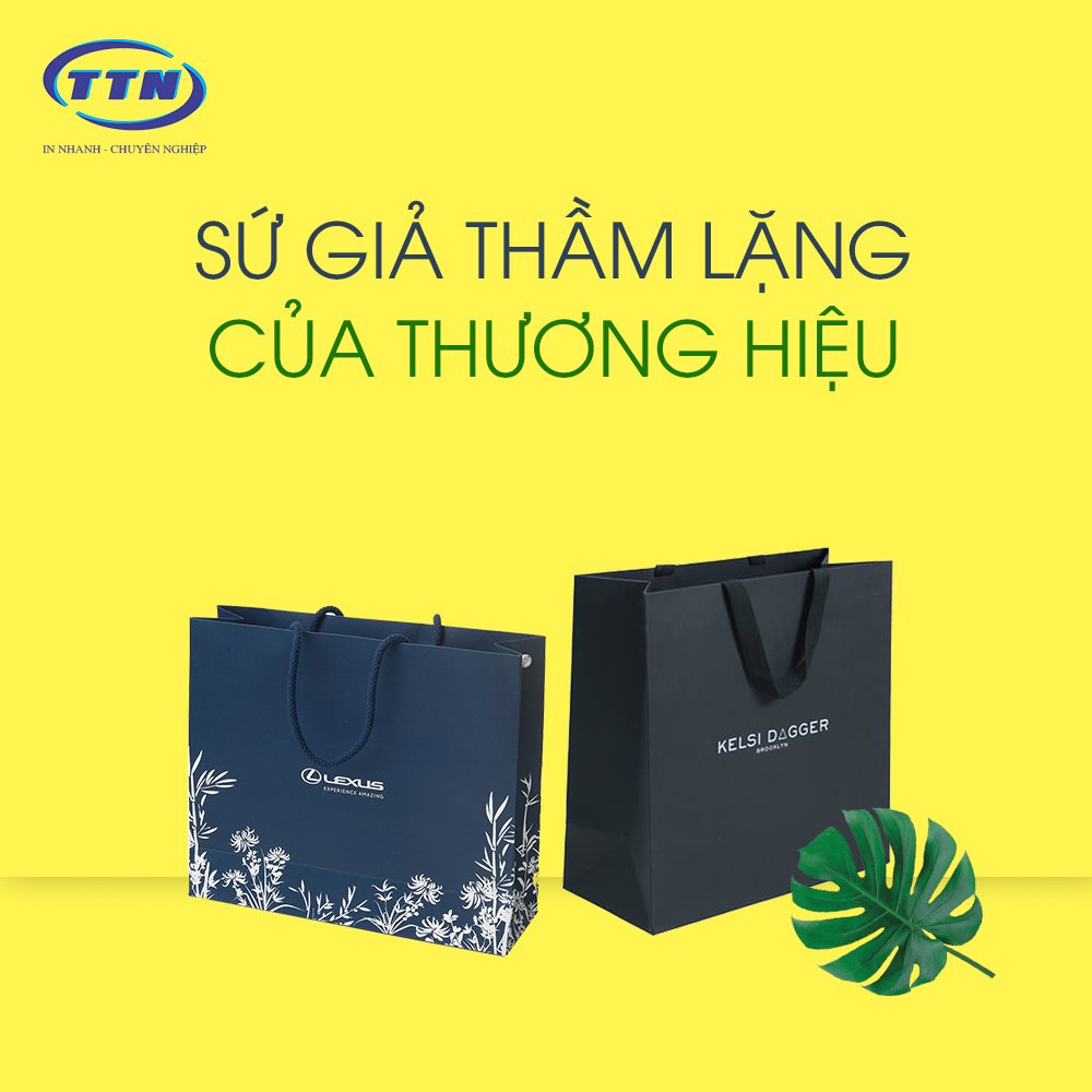 Túi Giấy Theo Yêu Cầu 3 170239744 3663649583743786 5206001005731712230 n