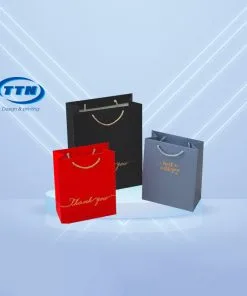 In Túi Giấy Đựng Quà Tặng - Xưởng In TTN Việt Nam