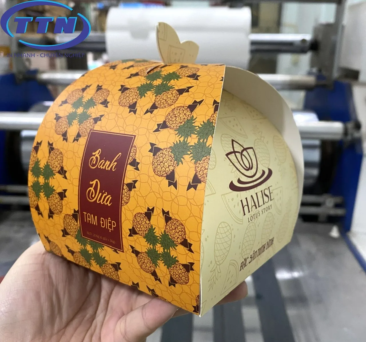 Hộp Đựng Quà Noel 4 z5079717355280 65a0b5d3ecfdb5f1f77f790f59cce02f result 1