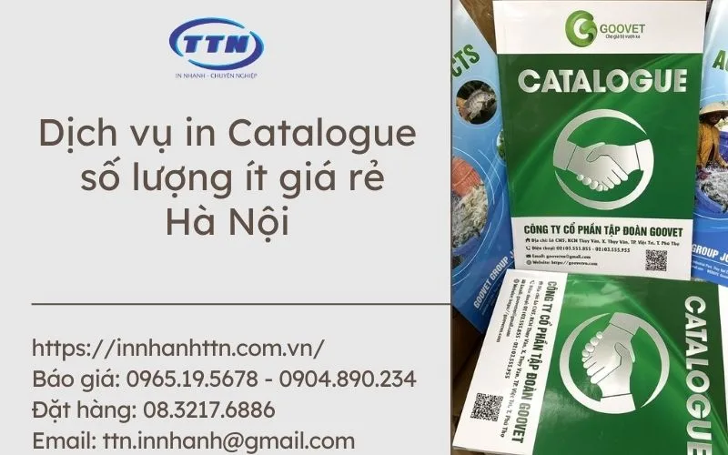 Dịch vụ in Catalogue số lượng ít giá rẻ Hà Nội