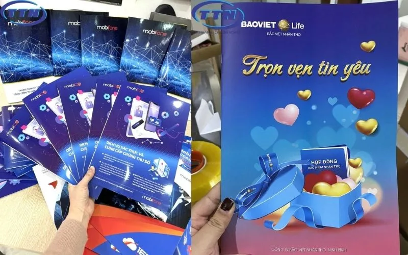 Dịch vụ in In catalog số lượng ít chất lượng cao, đẹp bắt mắt của In Nhanh TTN.