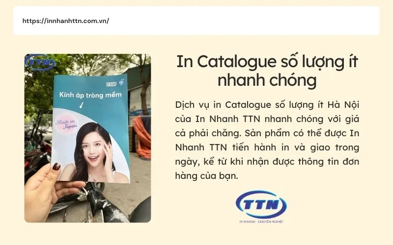 In Catalogue số lượng ít nhanh chóng, có thể giao hàng trong ngày.