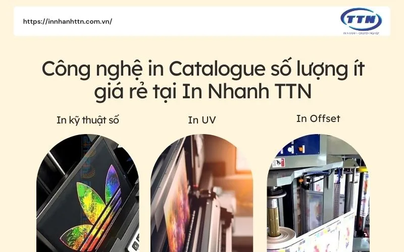 Tìm hiểu Công nghệ in Catalogue số lượng ít giá rẻ của In Nhanh TTN.