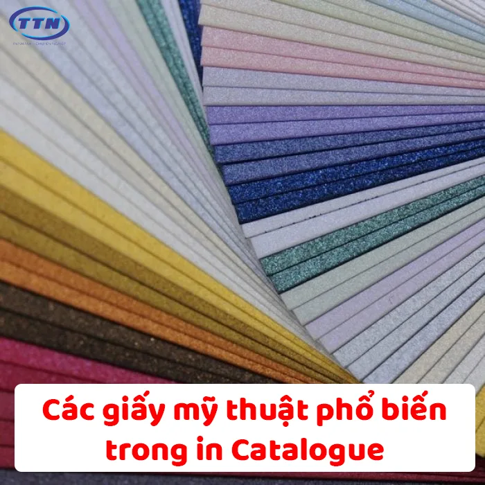 Các loại giấy mỹ thuật in Catalogue