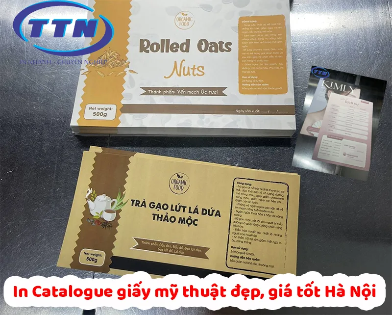 In Catalogue giấy mỹ thuật đẹp, giá tốt Hà Nội tại In Nhanh TTN.