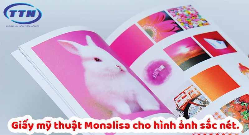 Giấy mỹ thuật Monalisa cho hình ảnh sắc nét.
