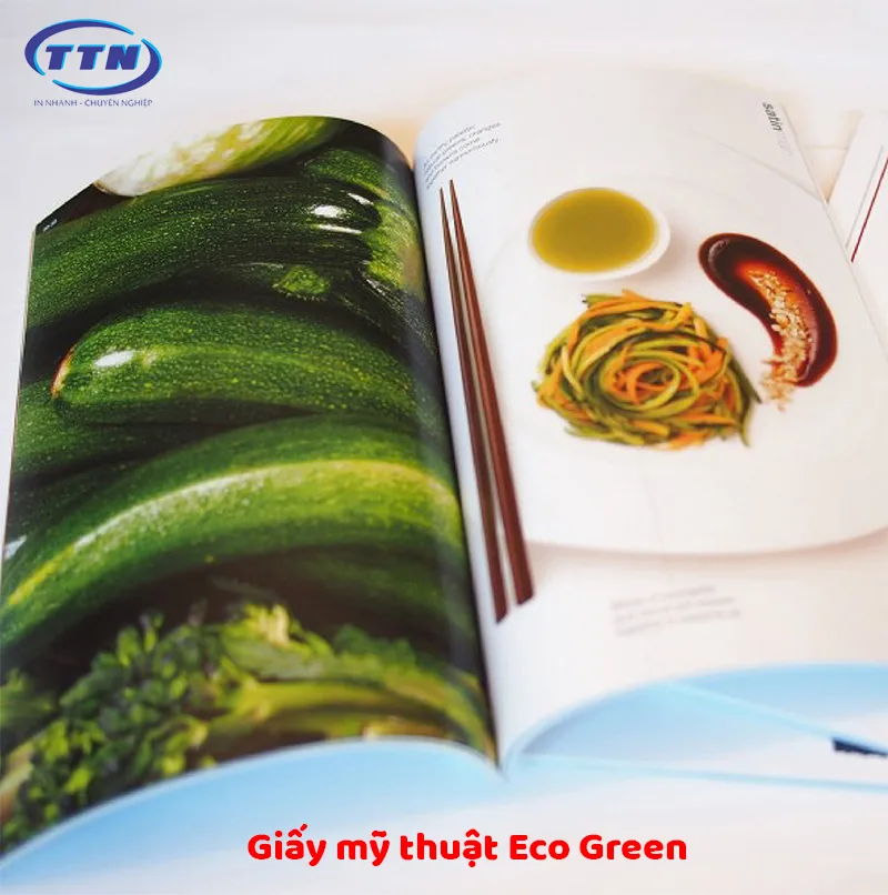 Giấy mỹ thuật Eco Green được sử dụng phổ biến trong in Catalogue.