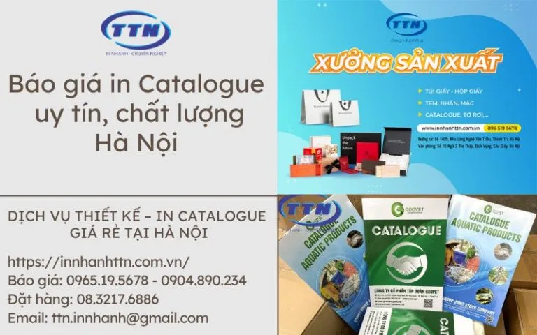 Bảng giá in ấn catalogue giá rẻ, uy tín Hà Nội