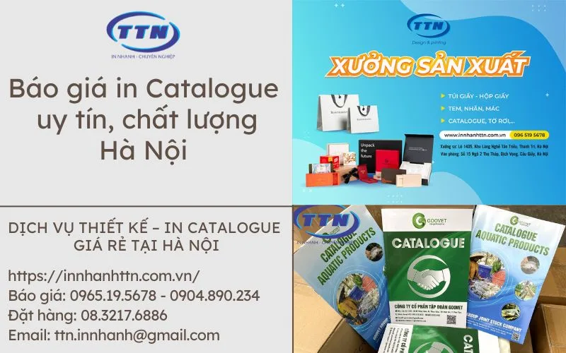 Bảng giá in catalogue (A4, A5) giá rẻ, uy tín Hà Nội 1 Bảng giá in ấn catalogue giá rẻ, uy tín Hà Nội