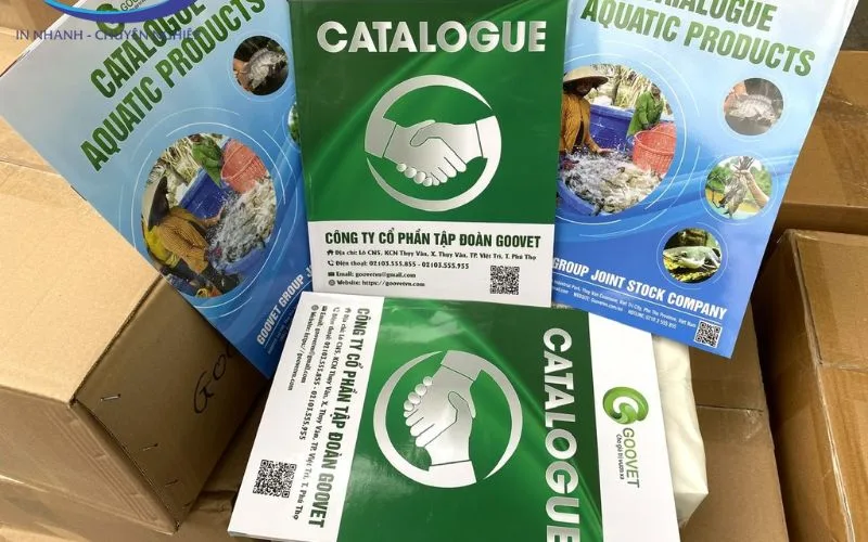 Kích thước Catalogue phổ biến 2025 6 Hướng dẫn cách chọn kích thước khổ giấy in Catalogue phù hợp.