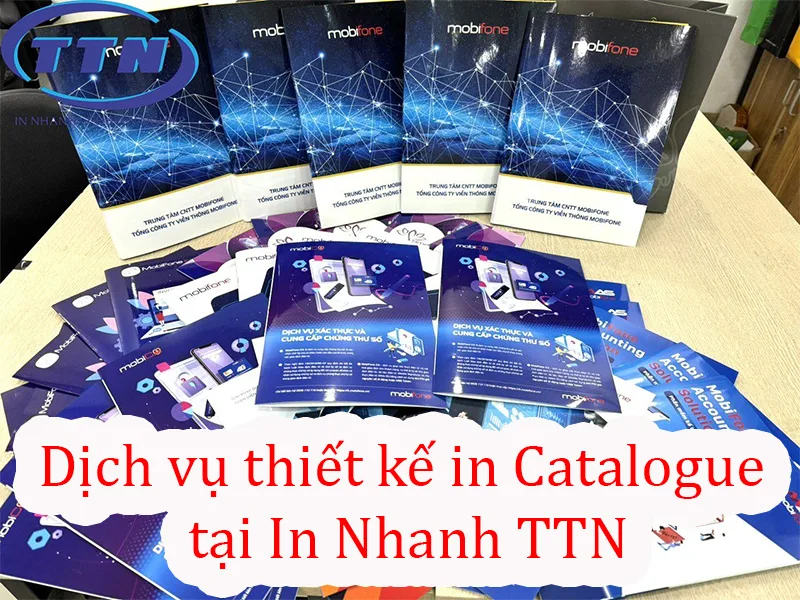 In và thiết kế Catalogue chuyên nghiệp, giá tốt tại In Nhanh TTN.