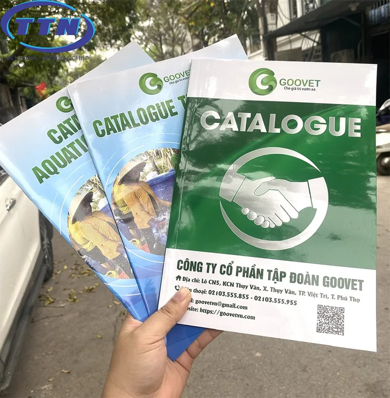 Thiết kế và in ấn Catalogue đẹp, chất lượng, giá rẻ tại In Nhanh TTN.