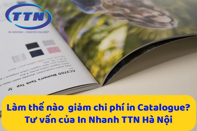 Bảng giá in catalogue (A4, A5) giá rẻ, uy tín Hà Nội 4 Tư vấn giúp tối ưu ngân sách in Catalogue tiết kiệm.