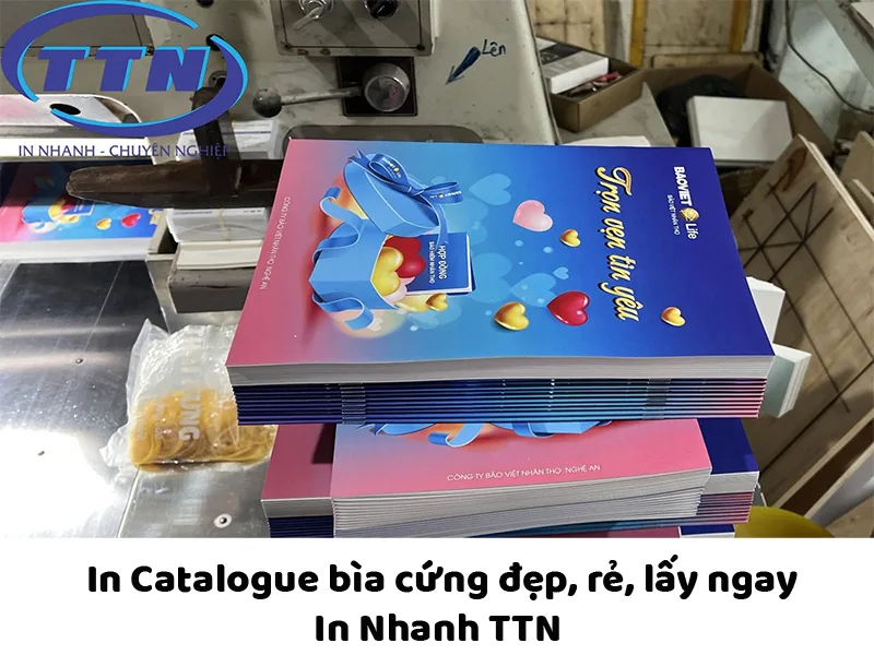 In Catalogue bìa cứng giá rẻ, lấy ngay tại In Nhanh TTN.