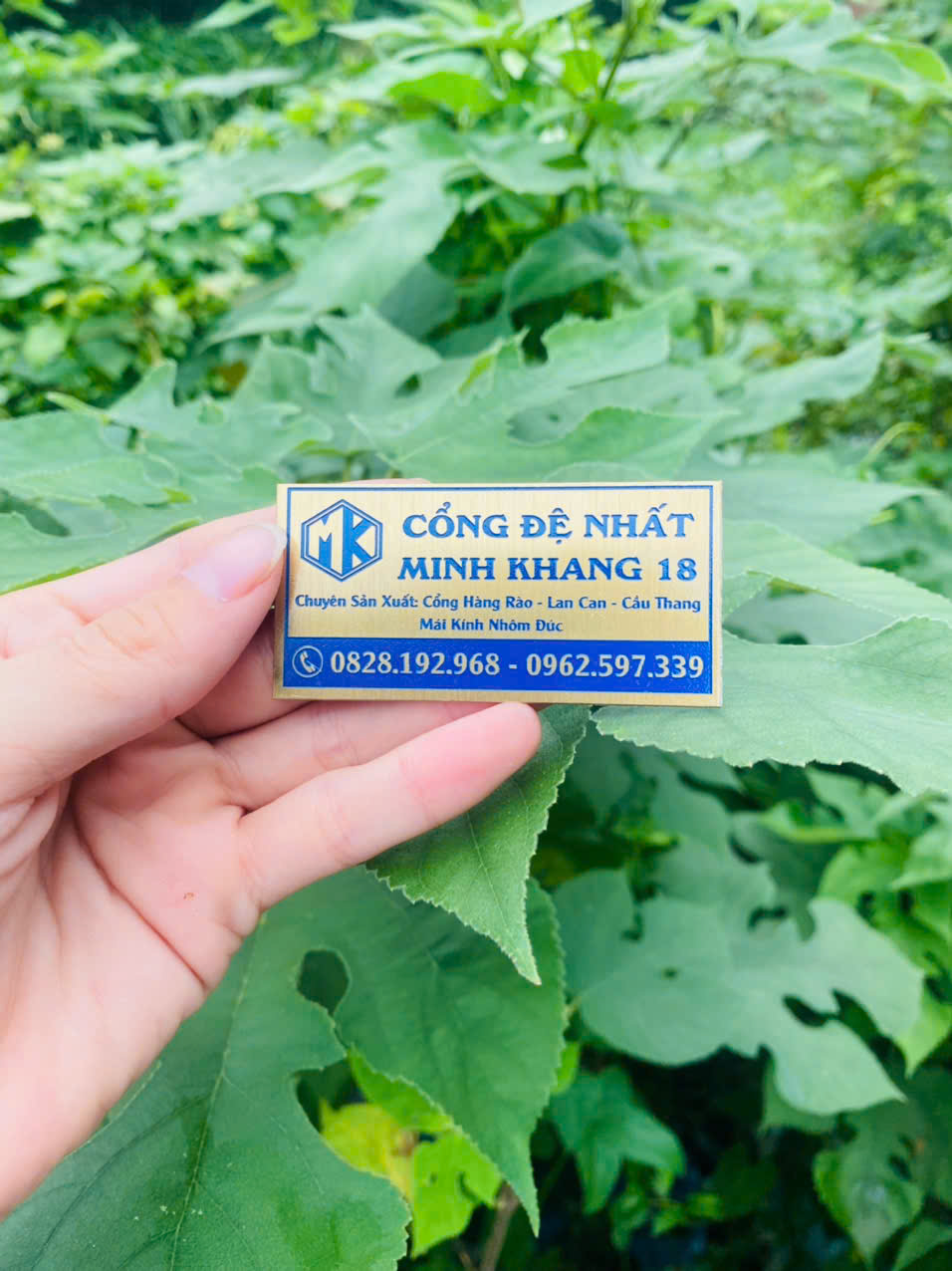 z7118181516099 139fc1bcdb035d12081bdd47bf8aee35